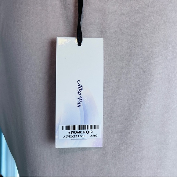 NWT Alisa Pan  Women’s Size 10 Cap Sleeves Short Coctail Dress Chiffon Side Zip - Picture 14 of 14